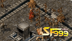 <b>���������Ĳ�ɫʯ�������صĹ�������</b>