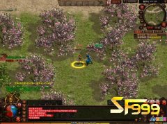 <b>��ʼ�ʱ����𡪡��춨����Ч������</b>