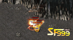 �ӻԻ͵���į����ʿְҵ�������ݱ�